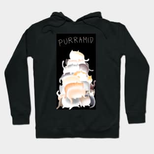 Pun purramid made of cats Hoodie